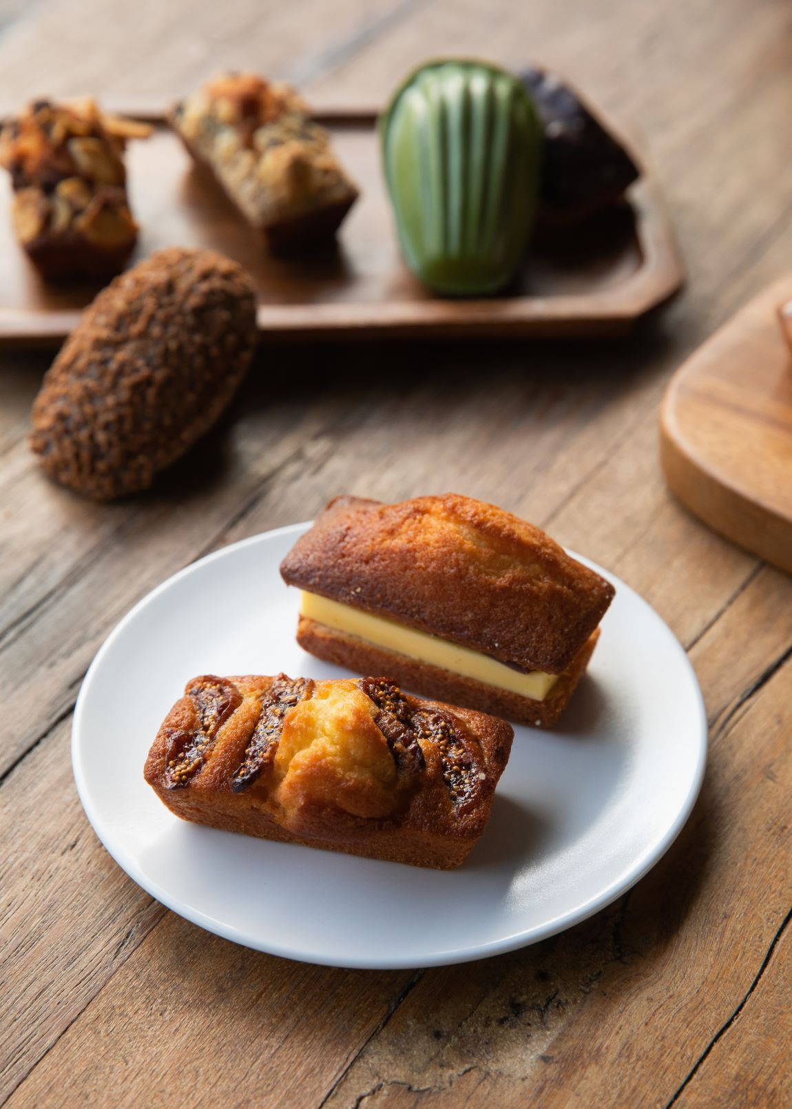 사용자 등록 이미지